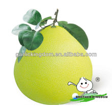 Fruta fresca shaddock pomelo